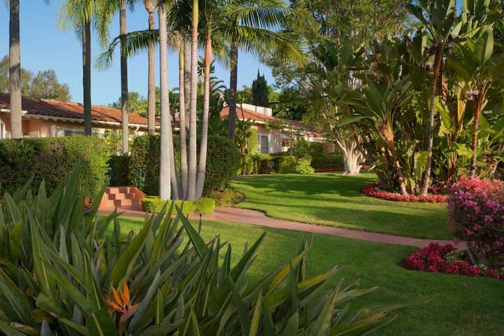 Garden view