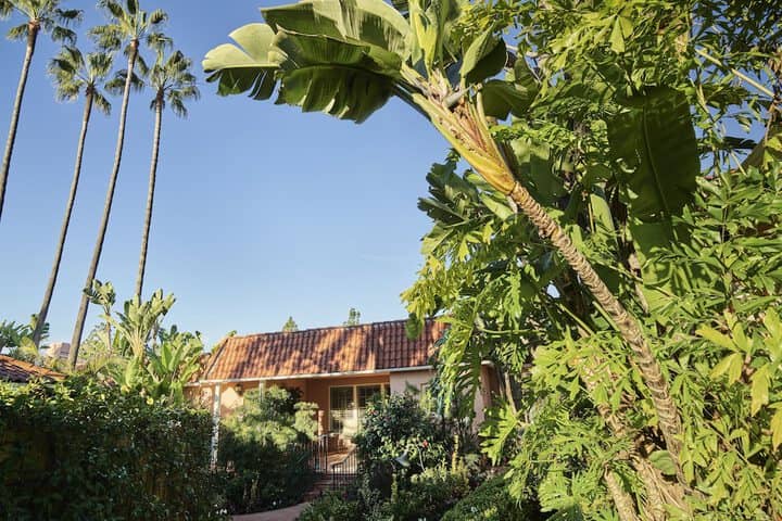 Garden view
